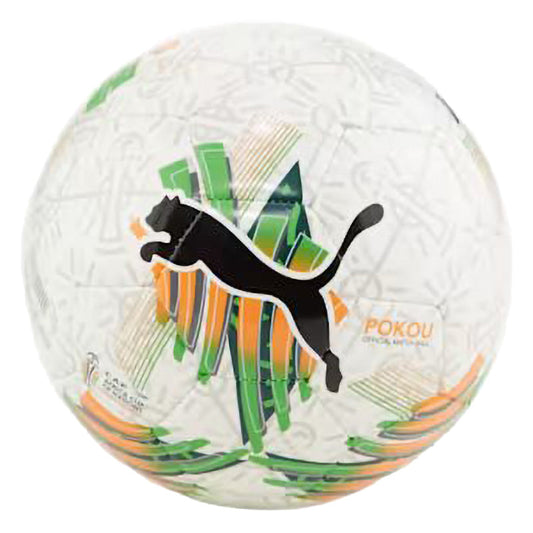 Puma FOOTBAL SHOES | 10737703