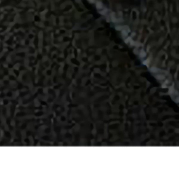 LEVI'S SNEAKER SHOES