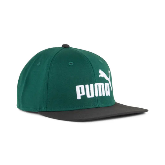 ESS No. 1 Logo Flat Brim Cap