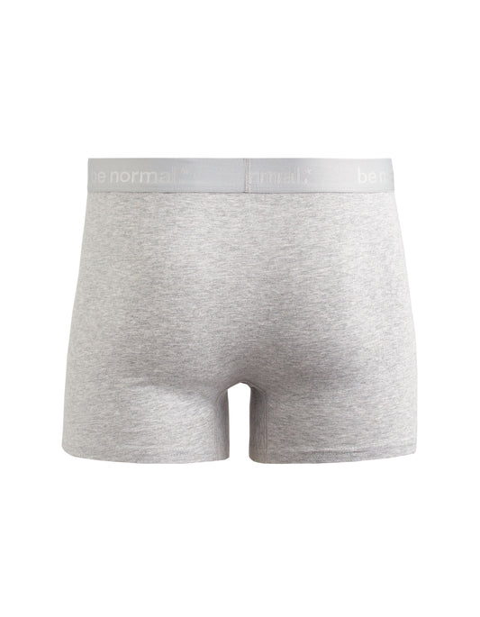 Solid Stretch Boxer Heather