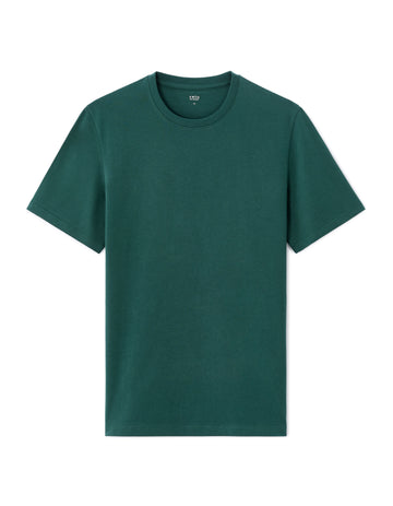 Regular round neck T-shirt 100% cotton - green