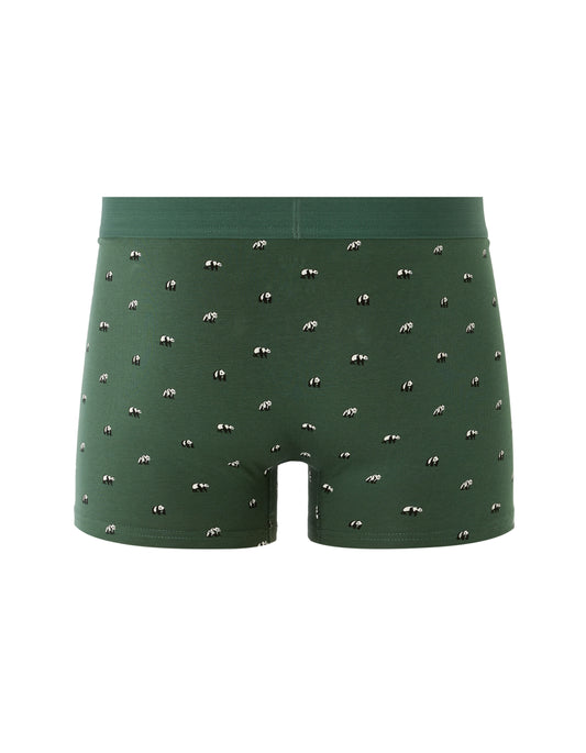 Boxer With Panda Print
