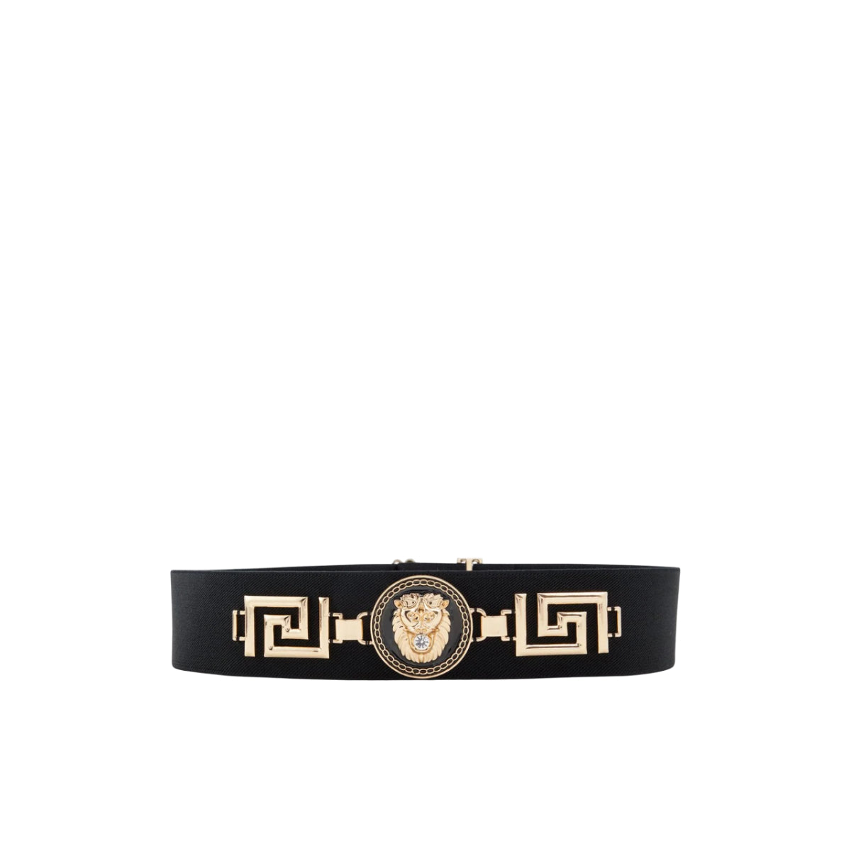 ALDO WOMEN BELT | 13245875