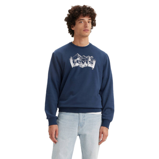 Standard Fit Graphic Crewneck Sweatshirt