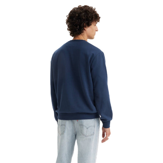 Standard Fit Graphic Crewneck Sweatshirt