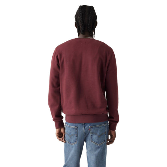 Standard Fit Graphic Crewneck Sweatshirt