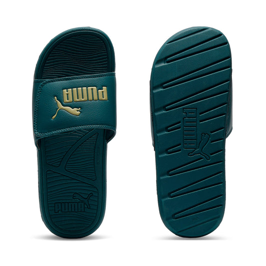 Cool Cat 2.0 V Slides