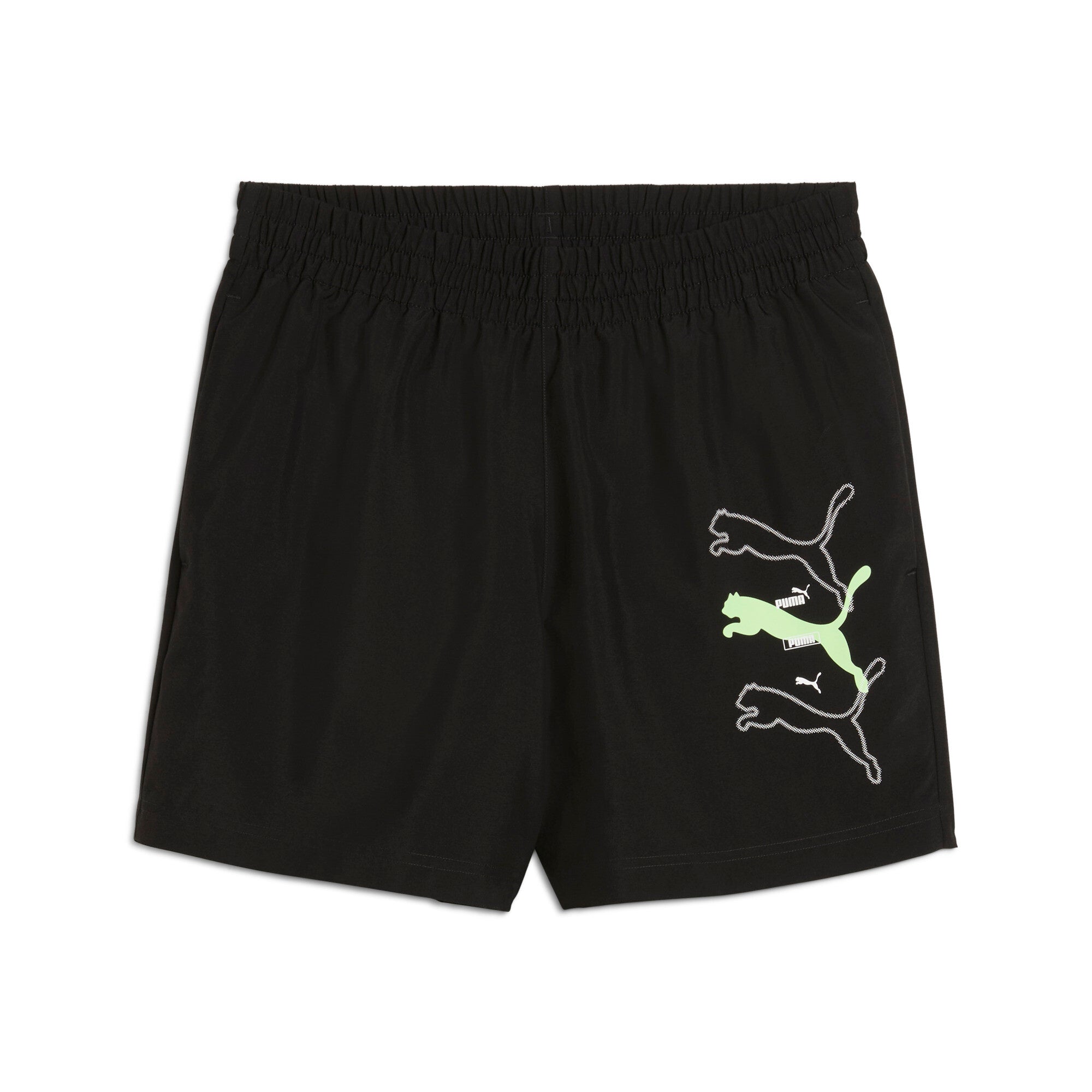 ESS LOGO LAB Puma Lo
