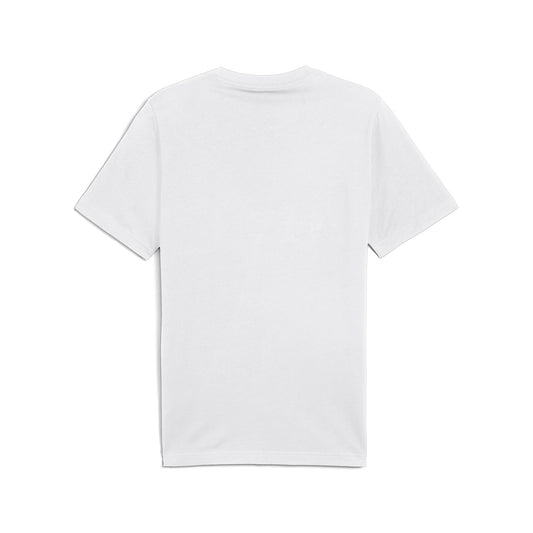 GRAPHICS Mountain Te