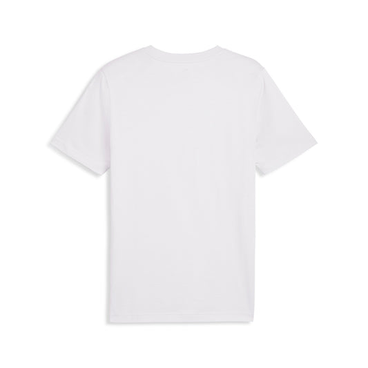 GRAPHICS Execution T