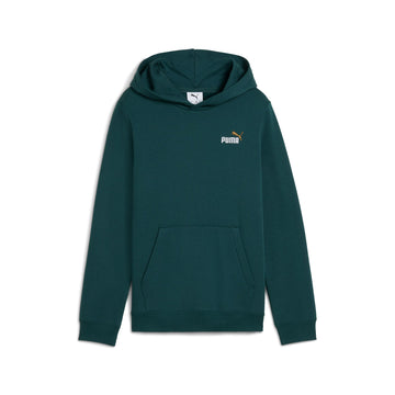 Essentials Colour Small No. 1 Logo Hoodie Youth