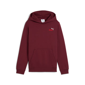 Essentials Colour Small No. 1 Logo Hoodie Youth