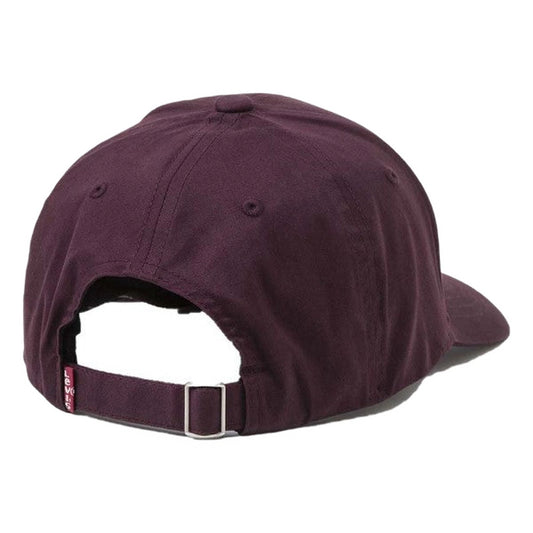 WOMEN'S POSTER LOGO FLEX FIT CAP