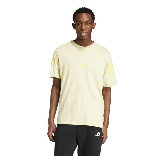 M FI 3S REG T