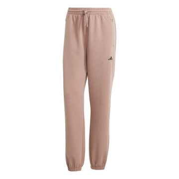 D4T KNIT PANT