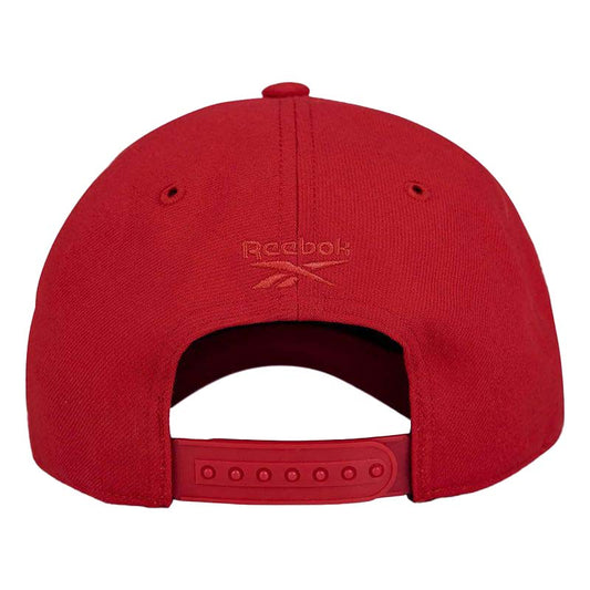 Vector Baseball Cap