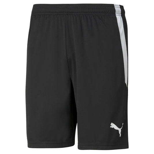 Teamliga Shorts