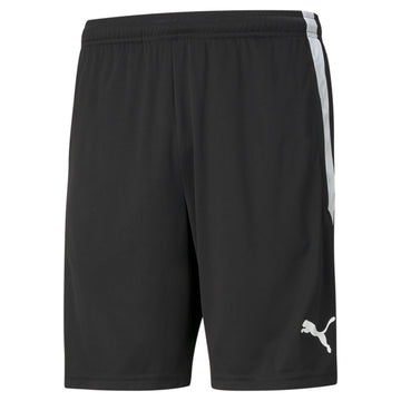 Teamliga Training Shorts