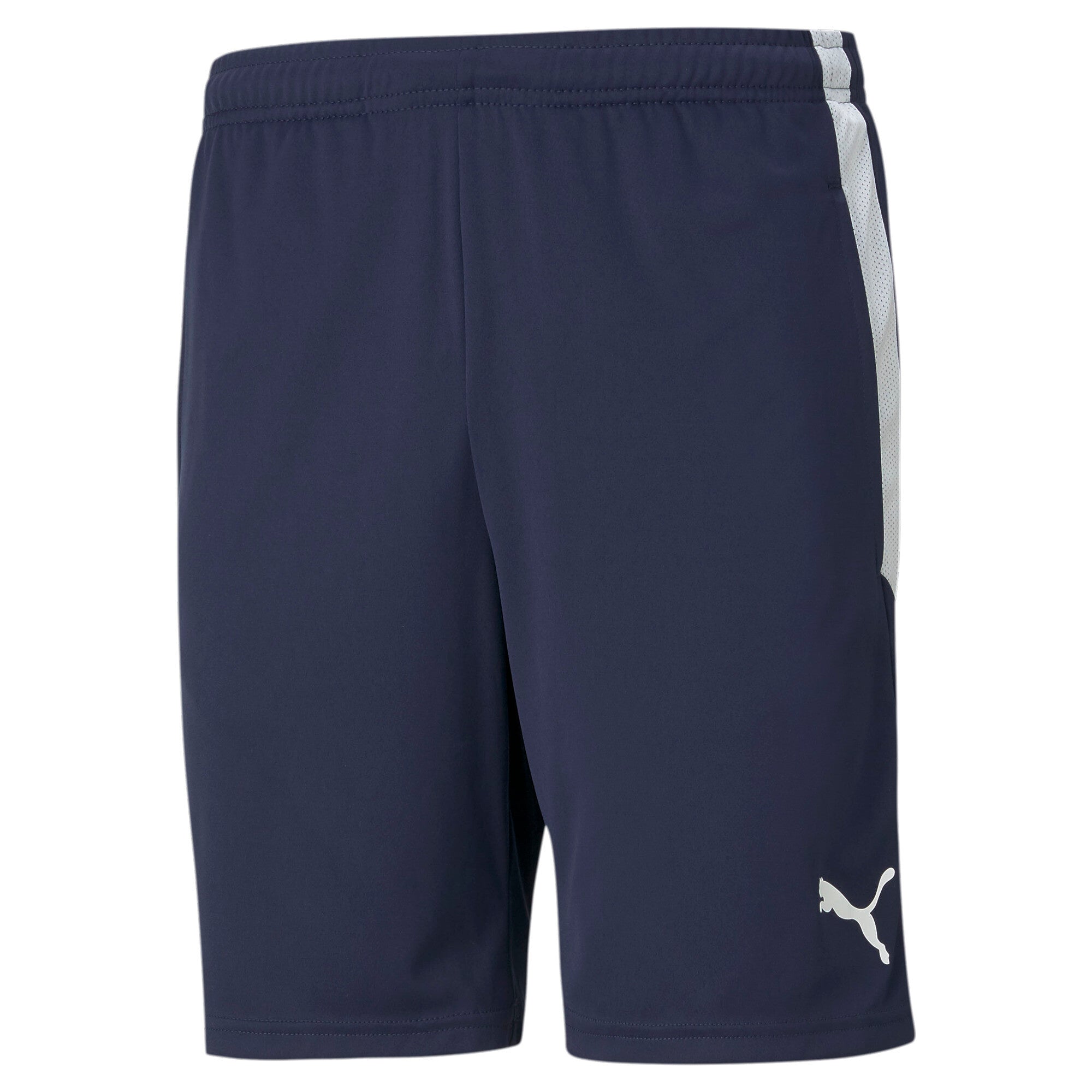 Teamliga Training Shorts