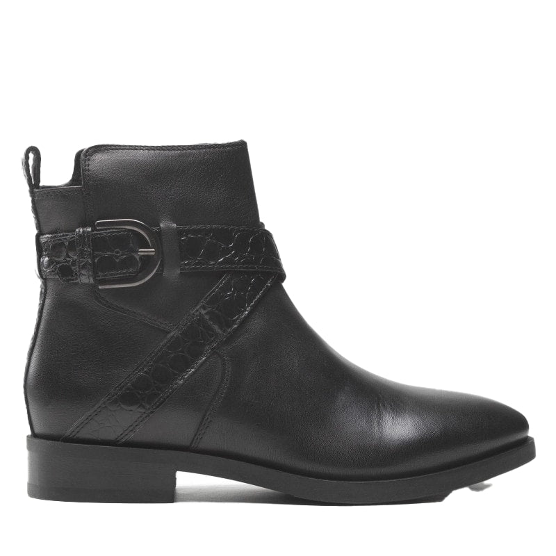 Donna Brogue